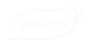 westland-white